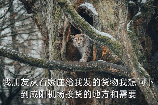 給我貨，京東賣家發(fā)錯貨要我墊付運費他給我發(fā)我要的貨我已經(jīng)確認收貨