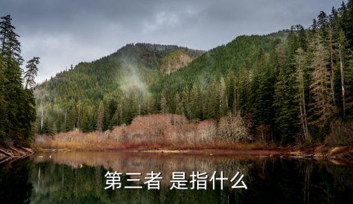 第三者是什么意思，第三者 是指什么
