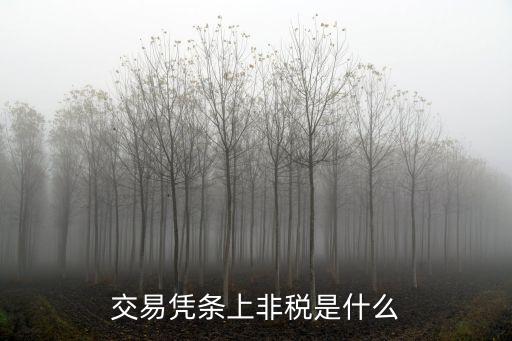 非稅，銀行卡對(duì)賬單中非稅什么意思