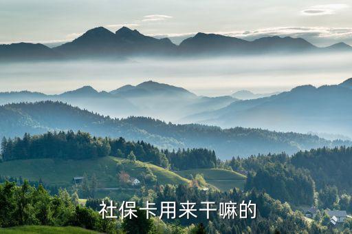 社保卡是干什么的,電子社?？╝pp下載