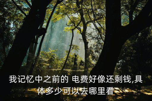 我記憶中之前的 電費(fèi)好像還剩錢,具體多少可以去哪里看
