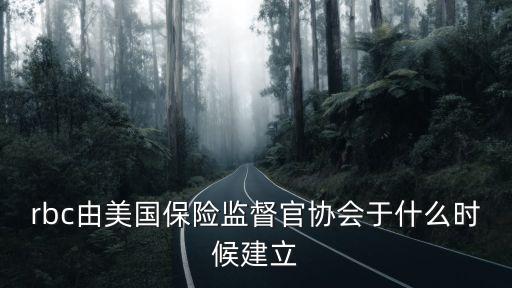 rbc由美國保險監(jiān)督官協(xié)會于什么時候建立