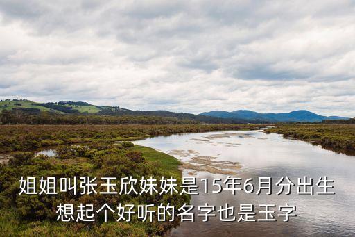 張玉佳，青島網(wǎng)絡(luò)電視臺(tái)可口可樂(lè)安全小衛(wèi)士官網(wǎng)