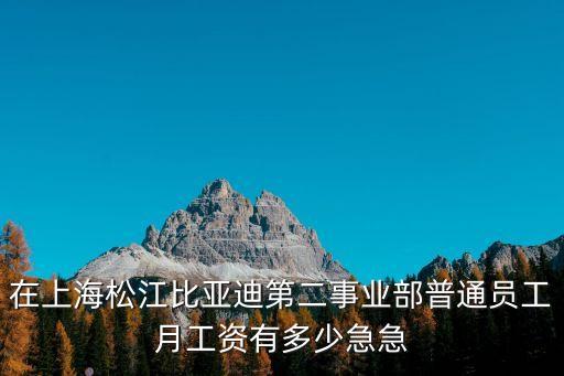 在上海松江比亞迪第二事業(yè)部普通員工月工資有多少急急