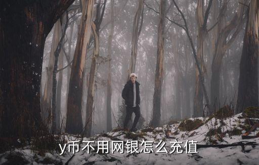 y幣不用網(wǎng)銀怎么充值