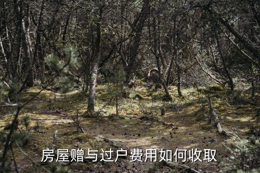 房屋贈(zèng)與過戶費(fèi)用，房產(chǎn)贈(zèng)與過戶需要交納什么費(fèi)用