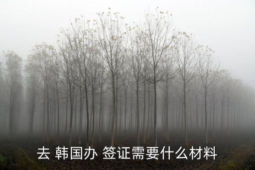 去 韓國辦 簽證需要什么材料