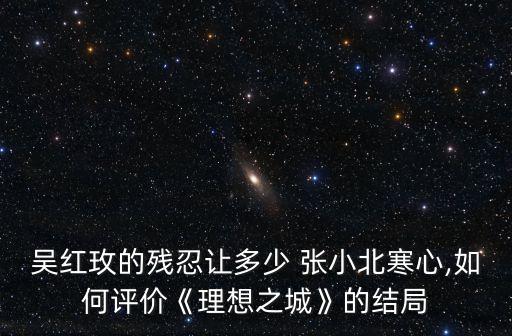 吳紅玫的殘忍讓多少 張小北寒心,如何評價(jià)《理想之城》的結(jié)局