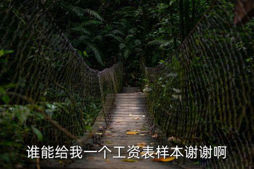 工資單模板，誰能給我一個工資表樣本謝謝啊