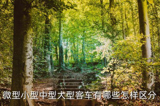 中型載客汽車，中型客車是指什么