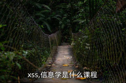 xxxss,信息學(xué)是什么課程