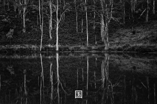 王正國