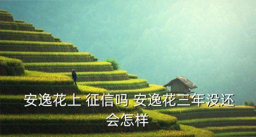 安逸花查征信嗎,無視征信秒下款的口子