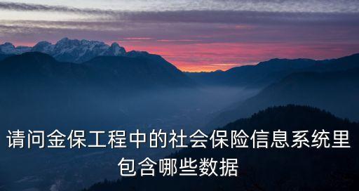 請問金保工程中的社會保險信息系統(tǒng)里包含哪些數(shù)據(jù)