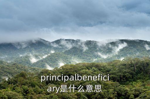 principalbeneficiary是什么意思
