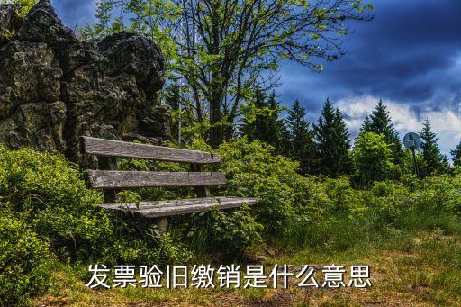 發(fā)票驗(yàn)舊繳銷是什么意思
