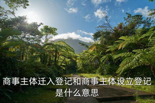 商事主體遷入登記和商事主體設立登記是什么意思