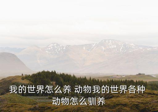 喂養(yǎng)動(dòng)物,kenshi怎么喂養(yǎng)動(dòng)物