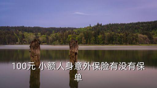 小額保險,中國人壽城鄉(xiāng)居民小額保險