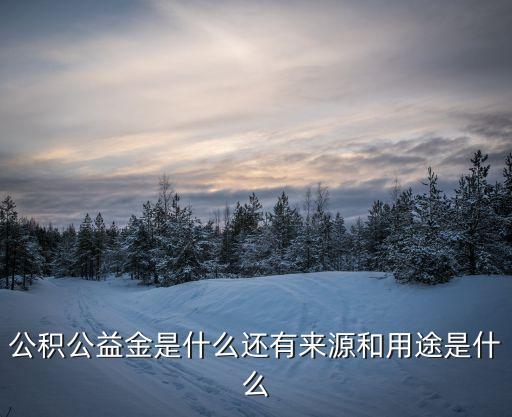 公積公益金是什么還有來源和用途是什么