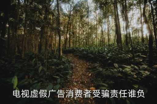 虛假宣傳賠償標(biāo)準(zhǔn)，電視虛假?gòu)V告消費(fèi)者受騙責(zé)任誰(shuí)負(fù)