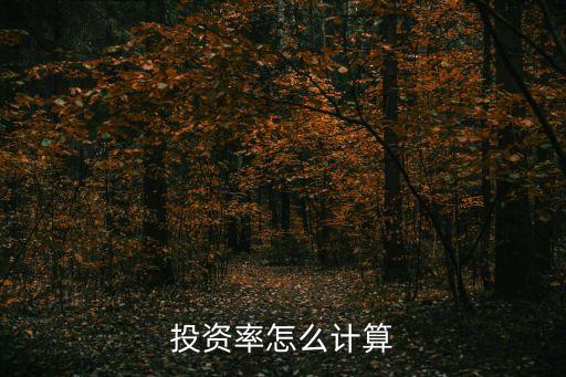投資比例怎么算，投資比例怎么算