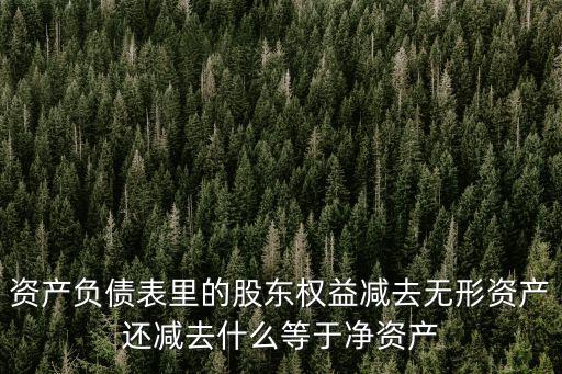 資產(chǎn)負(fù)債表里的股東權(quán)益減去無(wú)形資產(chǎn)還減去什么等于凈資產(chǎn)