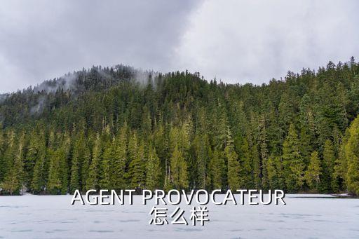 AGENT PROVOCATEUR怎么樣