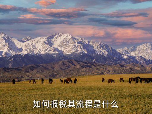 報(bào)稅怎么操作，報(bào)稅的基本流程
