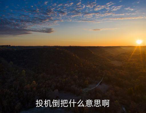 投機(jī)倒把，所謂的投機(jī)倒把到底是什么意思