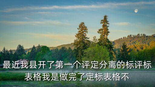 評定分離定標(biāo)法，最近我縣開了第一個評定分離的標(biāo)評標(biāo)表格我是做完了定標(biāo)表格不