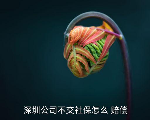深圳勞動(dòng)法賠償算法,勞動(dòng)法辭退賠償2020年算法