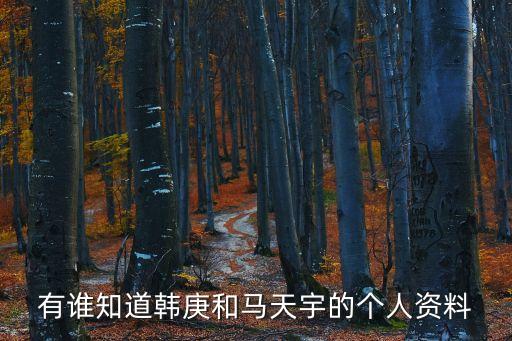 有誰知道韓庚和馬天宇的個人資料