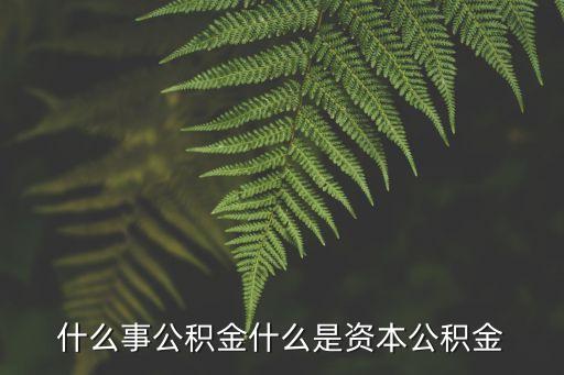 資本公積金，什么是資本公積金