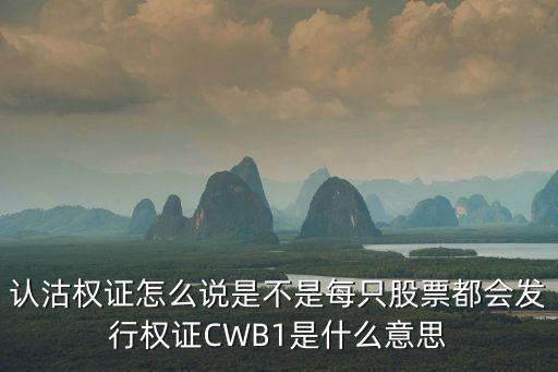 認(rèn)沽權(quán)證怎么說是不是每只股票都會發(fā)行權(quán)證CWB1是什么意思