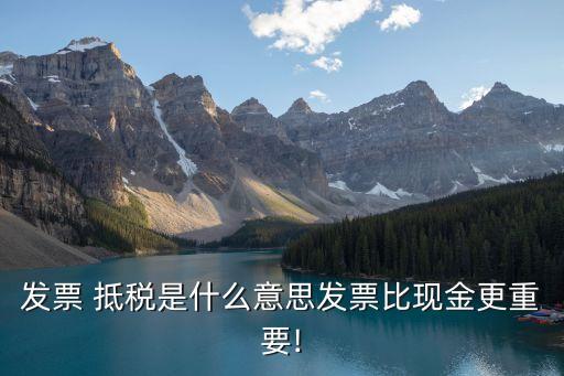 抵稅是什么意思,開(kāi)公司買車抵稅是什么意思