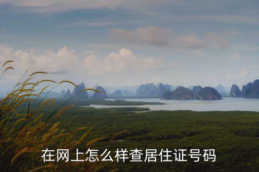 在網(wǎng)上怎么樣查居住證號碼