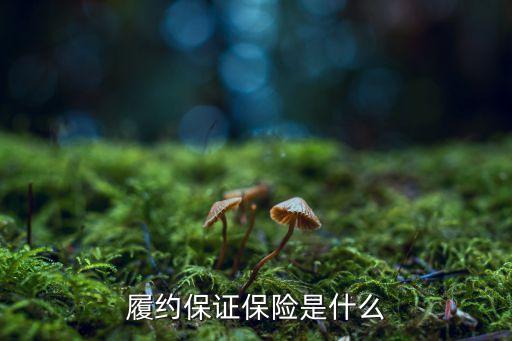 保證保險(xiǎn)，什么是保證保險(xiǎn)呢