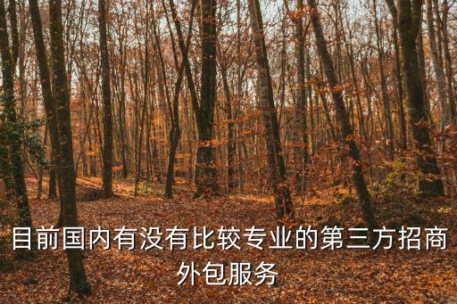 目前國(guó)內(nèi)有沒有比較專業(yè)的第三方招商外包服務(wù)