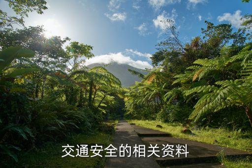 交通安全，生活中有哪些交通安全問題