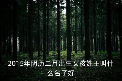 王鳳鳳