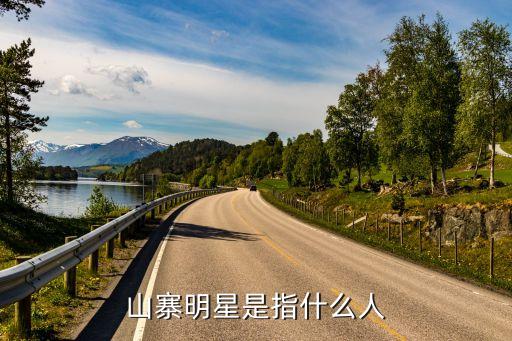 山寨明星，山寨明星是指什么人