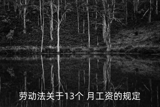 十三個(gè)月工資,什么單位發(fā)十三個(gè)月工資