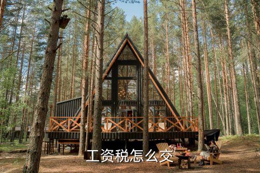 工資稅怎么交