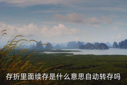 存折里面續(xù)存是什么意思自動(dòng)轉(zhuǎn)存嗎