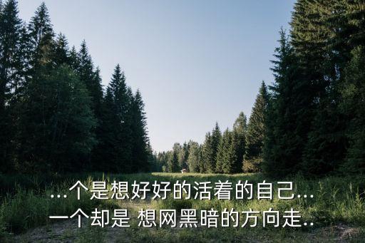 想網(wǎng),派幣派想網(wǎng)