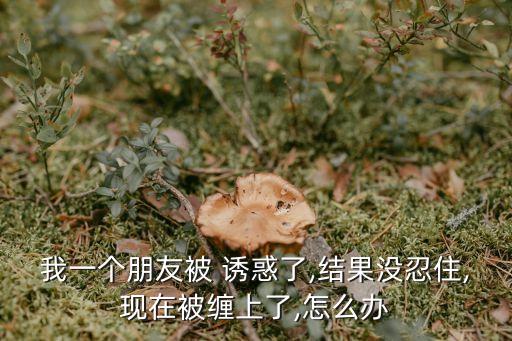 朋友的誘惑