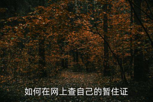 暫住證查詢，用身份證號碼可以查詢暫住證號碼