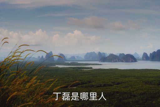 丁磊，網(wǎng)易公司老總丁磊的具體資料誰有