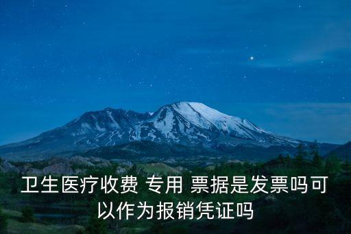 專用票據(jù),廣西壯族自治區(qū)政府非稅收入專用票據(jù)